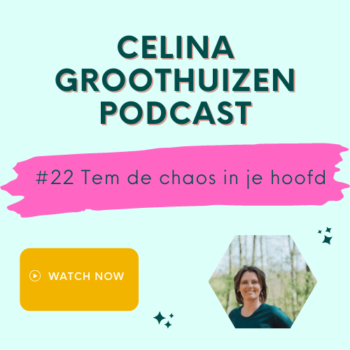 tem de chaos in je hoofd