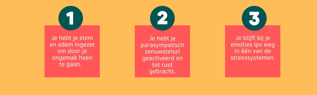 adem en stem ademcirkel