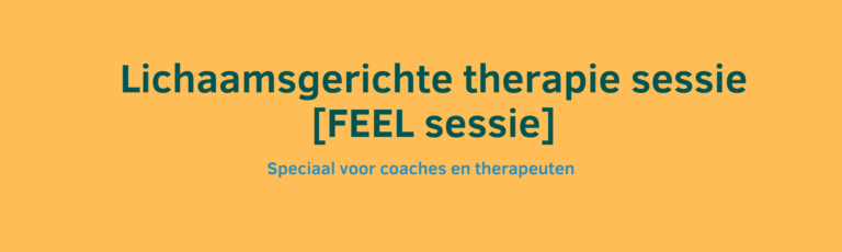 Lichaamsgerichte therapie voor coaches & therapeuten rotterdam